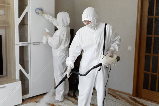 24/7 Emergency Odor Removal experts in Inwood, FL